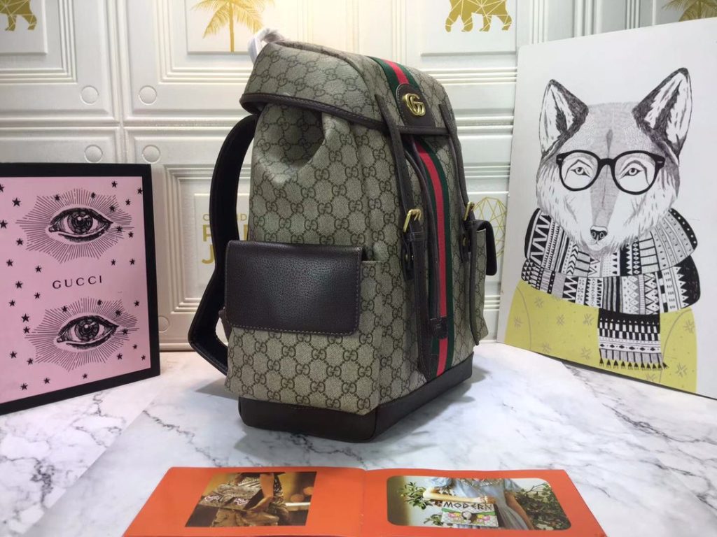 Gucci Ophidia Gg Medium Large Backpack 40Cm 598140 Huhat 8564 - Image 3