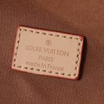 Louis Vuitton Rush Bumbag Brown 30cm M15271 - Image 9