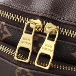 Louis Vuitton Rush Bumbag Brown 30cm M15271 - Image 7