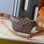 Louis Vuitton Rush Bumbag Brown 30cm M15271 - Image 5