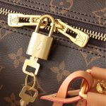 Louis Vuitton Speedy Soft 30 Crafty Brown 30Cm M11945 - Image 7