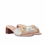 Louis Vuitton Lv Frame Mule Dune Beige 1Ahmrn - Image 7