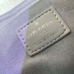 Louis Vuitton Sunset Vibe Lv Vibe Silver 27Cm - Image 11