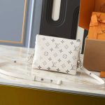 Louis Vuitton Coussin BB White 21cm M11957 - Image 3
