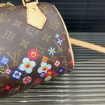 Louis Vuitton X Takashi Murakami Speedy Bandoulière 20Cm - Image 10