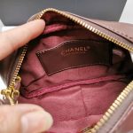 Chanel Mini Camera Case Dark Brown 18Cm As5190 B18306 Nzv43 - Image 9