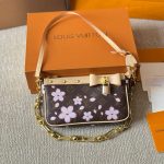 Louis Vuitton X Murakami Pochette Accessoires Sakura Brown 22Cm M13666 - Image 3