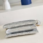 Louis Vuitton Coussin BB Silver 21Cm M20567 - Image 7