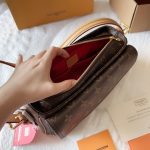 Louis Vuitton Vivacité Monogram Canvas Brown 25Cm M46999 - Image 11