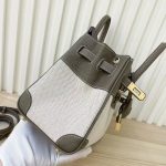 Hermes Birkin 25 Two Tone Toile Canvas Gold Hardware Grey 25Cm - Image 4