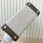 Hermes Birkin 25 Two Tone Toile Canvas Gold Hardware Grey 25Cm - Image 3