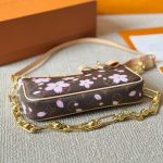 Louis Vuitton X Murakami Pochette Accessoires Sakura Brown 22Cm M13666 - Image 6