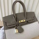 Hermes Birkin 25 Two Tone Toile Canvas Gold Hardware Grey 25Cm - Image 7