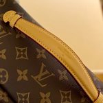Louis Vuitton Bumbag Monogram 26Cm M43644 - Image 7