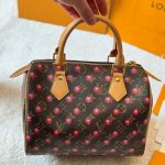 Louis Vuitton X Takashi Murakami Monogram Cerise Speedy 25 Gold Hardware Brown 25cm - Image 5