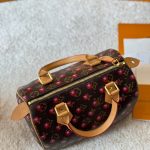 Louis Vuitton X Takashi Murakami Monogram Cerise Speedy 25 Gold Hardware Brown 25cm - Image 7