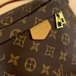 Louis Vuitton Bumbag Monogram 26Cm M43644 - Image 8