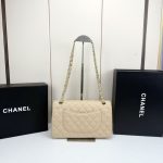 Chanel Classic Medium Double Flap Bag Beige 25cm A01113 Y04059 NZG77 - Image 5