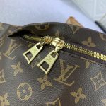 Louis Vuitton Bumbag Monogram Canvas Brown 37cm M43644 - Image 9