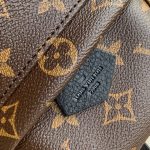 Louis Vuitton Palm Springs Mini Backpack Monogram Canvas 22cm M44873 - Image 5
