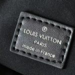 Louis Vuitton Sunset Vibe Lv Vibe 27Cm M12192 - Image 9