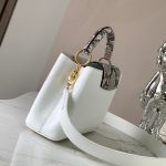 Louis Vuitton Capucines BB White And Python Trim 27cm - Image 4