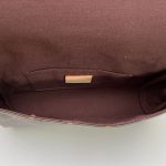 Louis Vuitton Favorite MM Monogram Brown 25Cm M40718 - Image 7