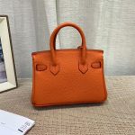 Hermes Birkin Mini Gold Hardware Epsom Orange 20Cm - Image 6