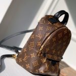 Louis Vuitton Palm Springs Mini Backpack Monogram Canvas 22cm M44873 - Image 3
