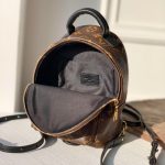 Louis Vuitton Palm Springs Mini Backpack Monogram Canvas 22cm M44873 - Image 8