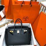 Hermès Birkin B25 Togo Black 25Cm - Image 3