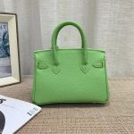 Hermès Birkin B25 Togo Grenat Ghw Green 20Cm - Image 5