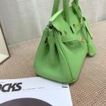 Hermès Birkin B25 Togo Grenat Ghw Green 20Cm - Image 4