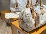 Louis Vuitton Speedy Bandoulière 20 Multicolor Beige 20Cm M24709 - Image 5