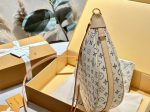 Louis Vuitton Loop Hobo Monogram Bag Multicolor Beige 38Cm - Image 9