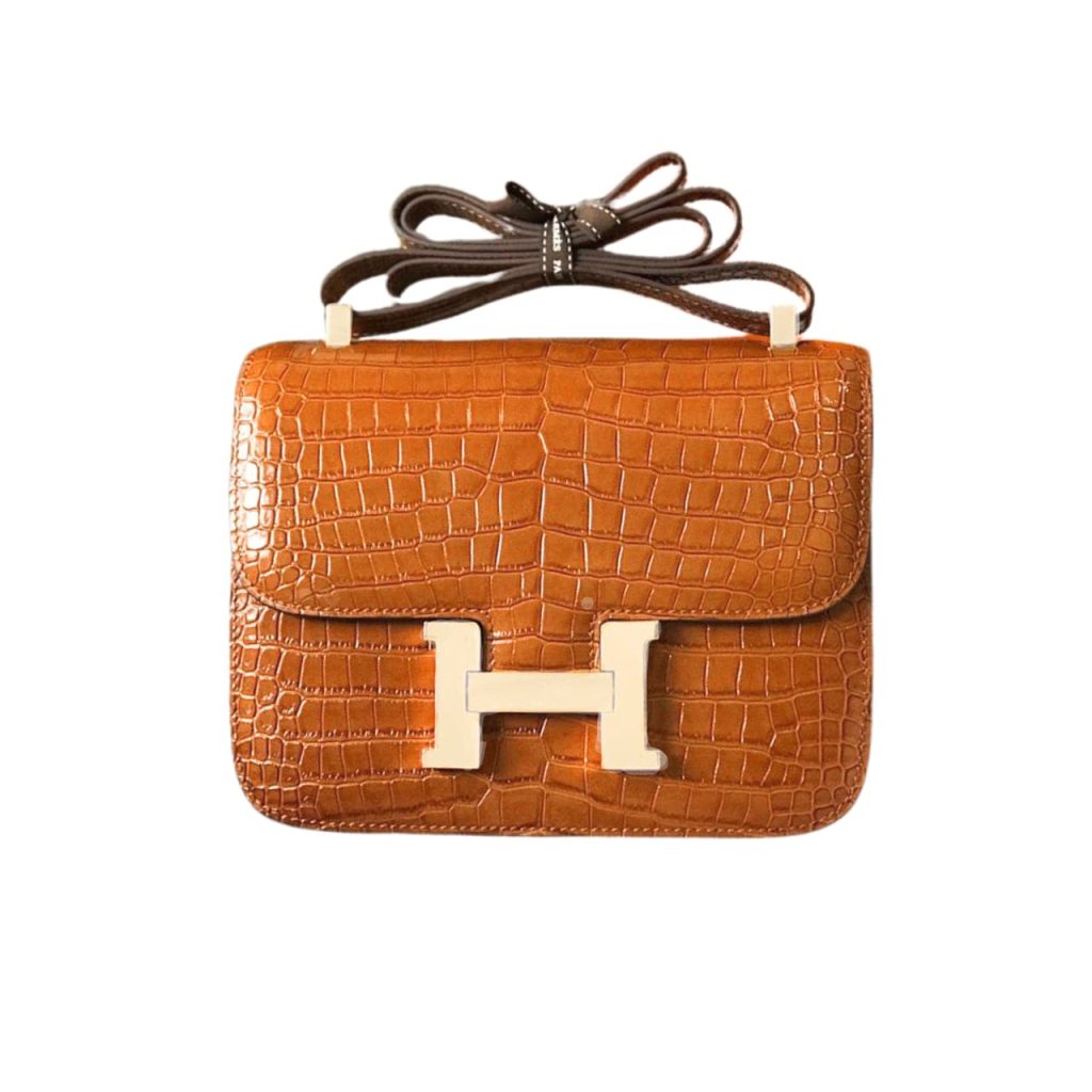 Hermès Mini Constance 19 Shiny Alligator Palladium Hardware Gold 19Cm - Image 2