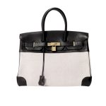 Hermes Birkin 25 Toile H Black 25cm