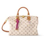 Louis Vuitton Speedy Soft 30 Lucky Bag Dune 30Cm M15108