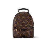 Louis Vuitton Palm Springs Mini Backpack Monogram Canvas 22cm M44873