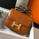 Hermès Mini Constance 19 Shiny Alligator Palladium Hardware Gold 19Cm - Image 3