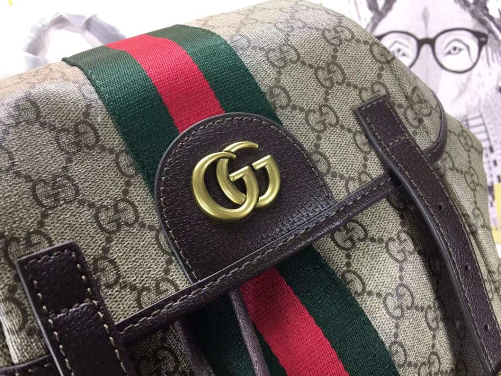 Gucci Ophidia Gg Medium Large Backpack 40Cm 598140 Huhat 8564 - Image 6