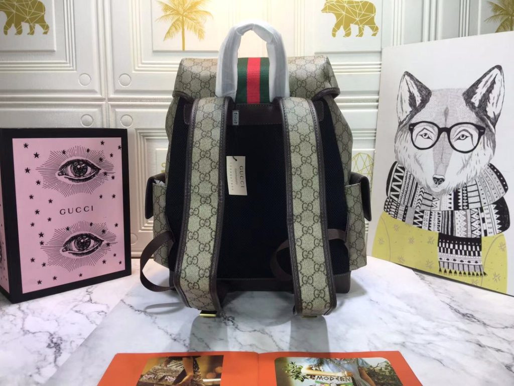 Gucci Ophidia Gg Medium Large Backpack 40Cm 598140 Huhat 8564 - Image 5