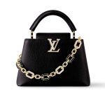Louis Vuitton Capucines BB Bag Black 27cm